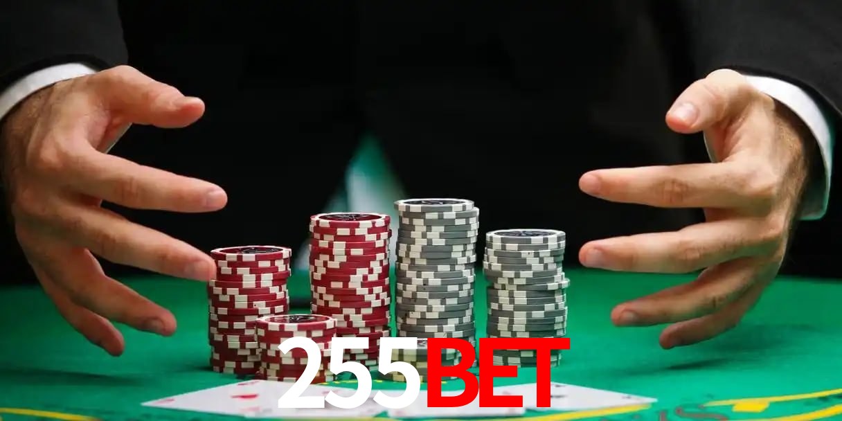 Níveis VIP 255bet